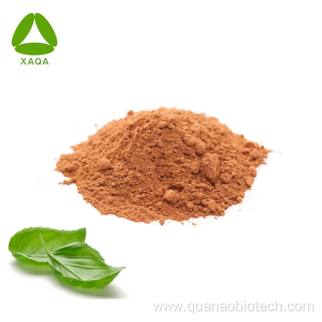 Organic Herb Holy Basil Leaf Extract 10:1 Powder